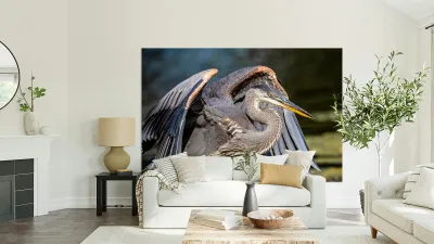 Blue Heron 2 Reproduction