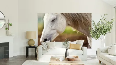 Horse Portrait 2 Reproduction