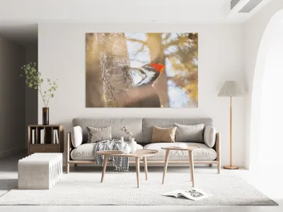 Pileated Woodpecker Reproduction