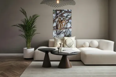 Saw Whet Owl 6 Reproduction