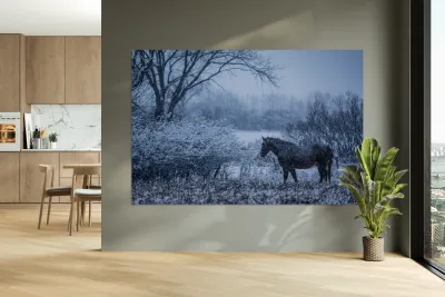 Horse Farm Reproduction