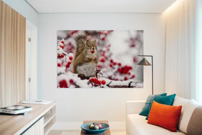 Red Squarel 3 Reproduction