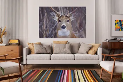 Buck Portrait 3 Reproduction