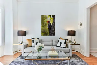 Pileated Woodpecker 2 Reproduction