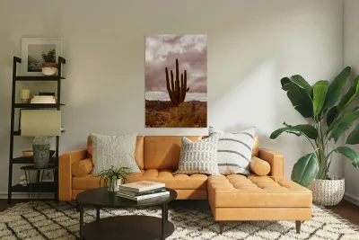 Sunlit Saguaro Reproduction