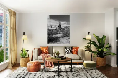 Fine Art Desert Reproduction