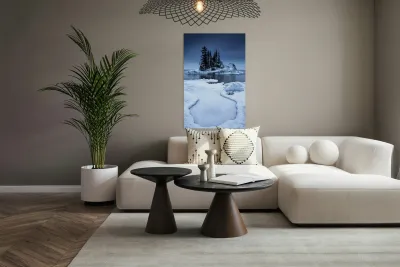 Winter Wonderland on Superior Reproduction