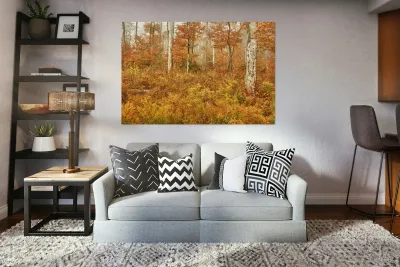 Fall Nature In Door County Wisconsin Reproduction