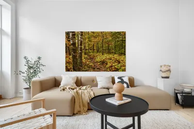 Wisconsin Fall Walk Reproduction