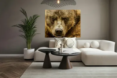 Grizzly Stare Reproduction