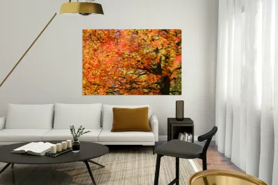 Tree on Fire Reproduction