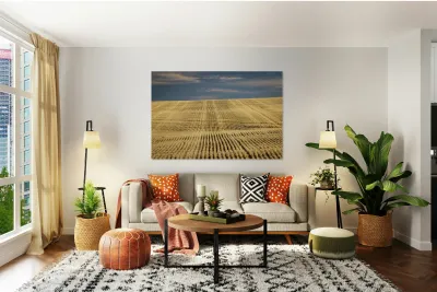 South Dakota Farm Country Reproduction