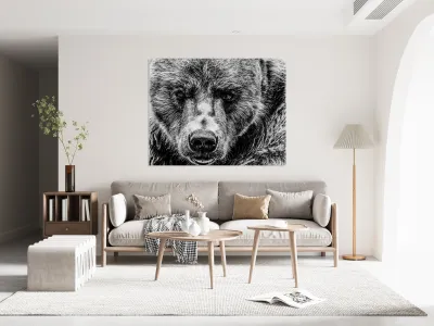 Grizzly Stare B&W Reproduction