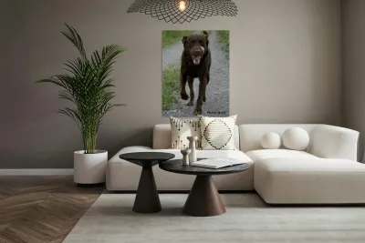 Shiner on the Run Reproduction