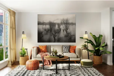 Félix Thiollier 18 Reproduction