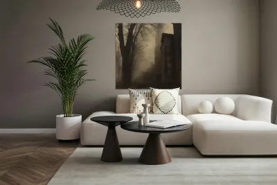 Félix Thiollier 35 Reproduction