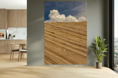 Zion Skies Reproduction