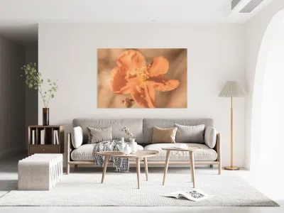 Softness And Serenity Reproduction