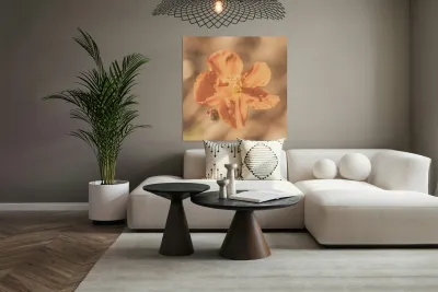 Wildflower Wonders Reproduction