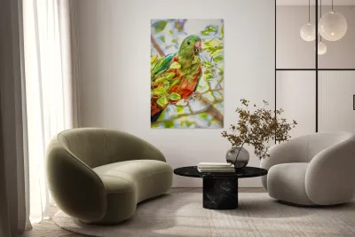  Australian King Parrot Reproduction