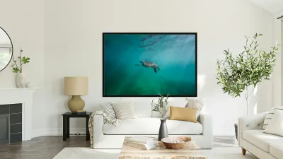 Swimming in wonderland Reproduction