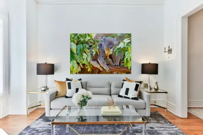 Koala sits on a branch surrounded by eucalyptus leaves. Reproduction