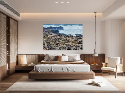 Cape fur seals resting on Skeleton Coast in Namibia near Cape Cr Reproduction