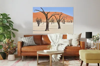 Dried camel thorn trees in Deadvlei pan in Namibia Reproduction