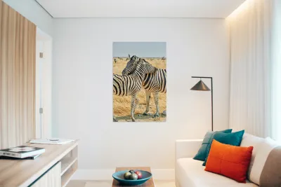 Zebras cuddle together in Etosha National Park in Namibia Reproduction