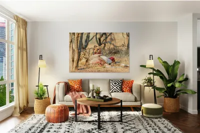 Cheetah feeding on its kill in Okonjima Reserve Namibia Reproduction