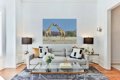 Giraffes cuddling in Etosha National Park in Namibia Reproduction