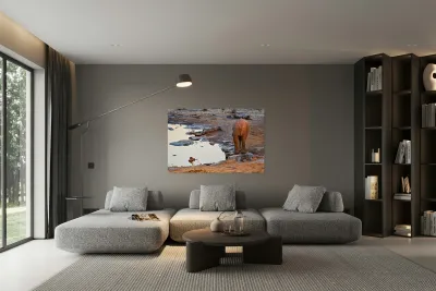 Elephant drinks at waterhole during sunset in Etosha National Pa Reproduction