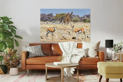 Giraffes and springboks in Etosha National Park Namibia Reproduction