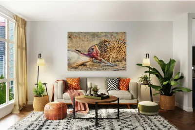 Cheetah feeding on its kill in Okonjima Reserve Namibia Reproduction