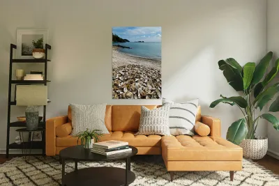 Oyster shells lay on the beach of Cancale Brittany France Reproduction