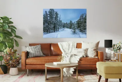 Winter on Hanson Creek Trail Reproduction