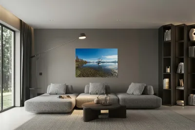 Wanaka Tree in Lake Wanaka on a clear day Otago Reproduction