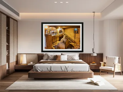 Exploring the cardo in the jewish quarter of jerusalem Reproduction