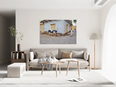 Man walking with cow in Mandawa streets Rajasthan India Reproduction