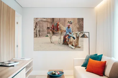 Camels wait for tourists at Petra archaeological site in Jordan Reproduction