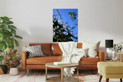 IMG 0029 Reproduction