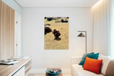 IMG 9621 Reproduction