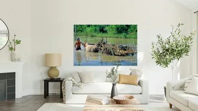 Washing cows in a river in the countryside of Myanmar Reproduction