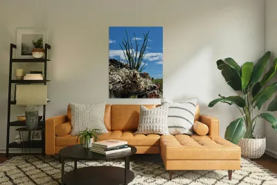 Quartz & Ocotillo    Reproduction