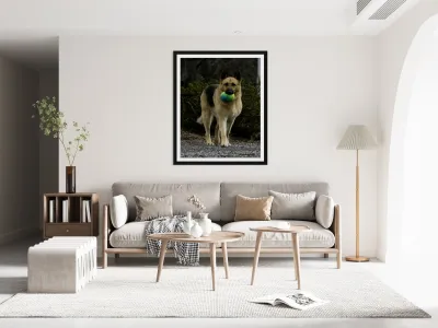 Lara Foster Reproduction