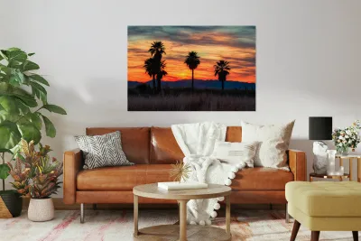 5 Mile Landing - Topock Marsh Reproduction