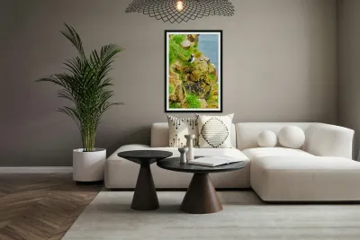 Puffin stands on rocks by the sea in Borgarfjordur Eystri Reproduction