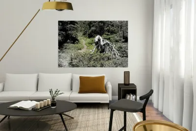 Jimmy Simpson Jr. Reproduction