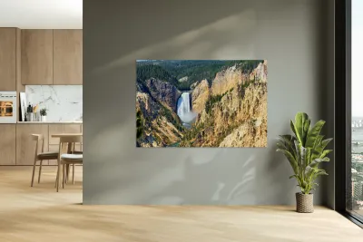 NP USA 00315 Reproduction