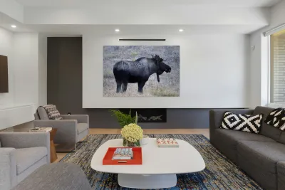 Bull moose Reproduction